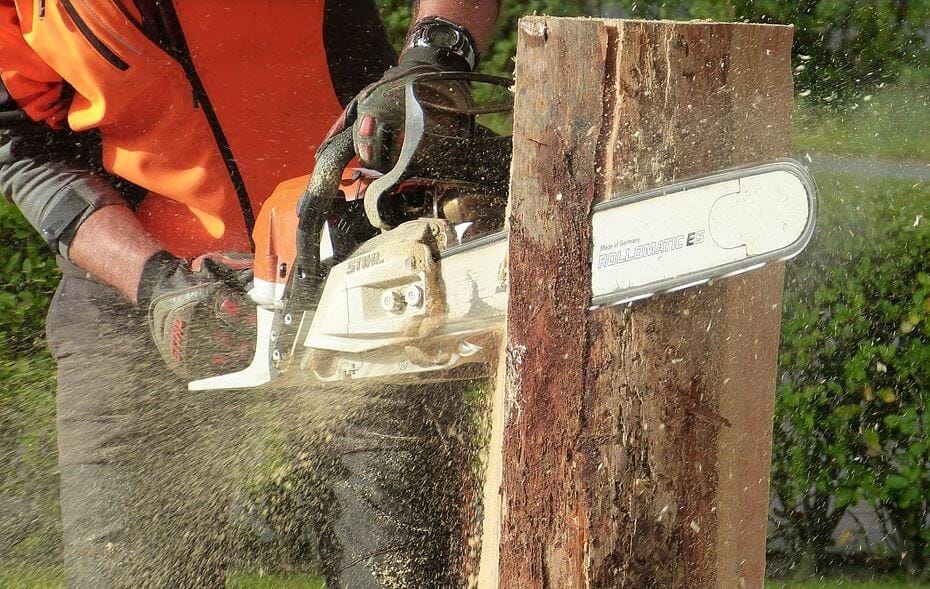 tree saw machine
